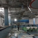 진영 태양광발전소 이미지