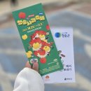 용전천 | 2025 청송사과축제 10월 30일 방문 후기