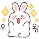 바르체바른체형운동