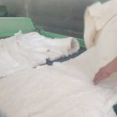 서울이불집