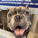 올리스24 명지점 이미지