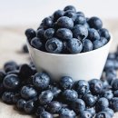 블루베리 이미지