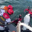 제주하다 이미지