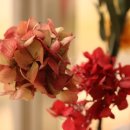 그린팜 주식회사 | 경기테크노파크 중소기업지원 찾아가는 온라인마케팅교육 - 그린팜