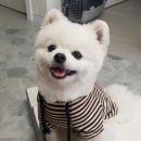 주다e