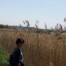 갈대습지공원 이미지