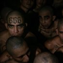 수천의 갱단원이 수용될 엘살바도르 4층 판금 침대의 대형 교도소 공개 이미지