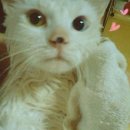 학익마을 이미지