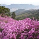 고려산 이미지
