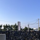 더무거버거 | 제주도 맛집, 함덕맛집, 바다보면서 당근버거(무거버거)먹은 후기