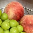 금호장어숯불구이 이미지