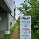 데코뜨