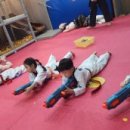 용인대 한뫼 태권도장 이미지