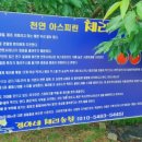경아네농장