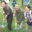 나무를심는사람들. 이미지