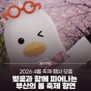 「행복·열정·명품」 버스킹<6회> | [2026년 4월 축제·행사 모음] 벚꽃과 함께 피어나는 부산의 봄 축제 향연