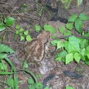 희망찬농장 이미지