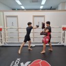 자연체육관 이미지