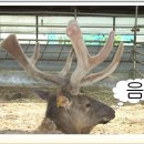 청록농장 이미지