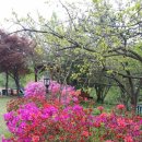 양양군양양댁 이미지