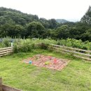 세현농장 이미지