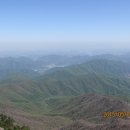 개굴개굴 이미지