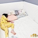 ㈜아늑한 | 아기침대부터 성인까지 숲소리 아루니 범퍼침대 사용 후기