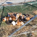 간월산온천&텔 | 아이와 함께 나들이하기 좋은 부산 근교 [자수정 동굴나라 썰매장]과 [간월산온천] 방문 후기