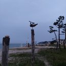 동해시청 본관 이미지