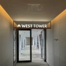 소노펠리체 델피노 이미지