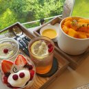 신스포레스트 이미지