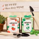 이지커머스 쇼핑하우