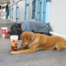 백제여인숙