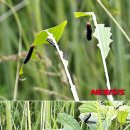 신등어린이집 이미지