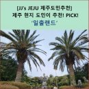 일출랜드의 제주동굴미천굴 제주 동백 족욕카페로 치유와 힐링 웰니스식물원 추천