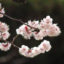 김해고등학교 이미지