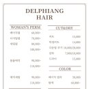 델피앙헤어