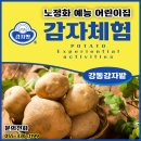 노정화예능어린이집 이미지