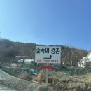 펜션 숲 | 춘천 펜션 숲속의 강촌 후기 주차장 강촌 펜션 추천