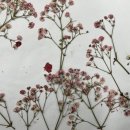 심리 힐링 압화 이미지