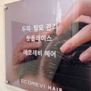 예스천연머리염색체험방 | 이대 미용실 헤드스파 전문 두피관리 에코레비헤어