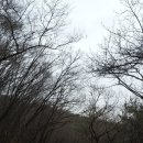 오포읍 양벌리 66-45 | 서오릉(西五陵) - 세계문화유산 조선왕릉 탐방(3)