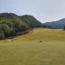 올파스크린골프장 이미지