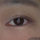 RISKY 리스키 피그먼트 아이섀도우 팔레트 코스믹 러브 내돈내산 후기
