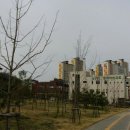 신영철묘갈 이미지