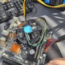 코코 서플라이 이미지