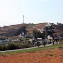 남해-159 이미지