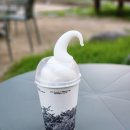 보문쏠라 | 경주 황리단길 한옥 분좋카 카페솔 내돈내산 솔직 후기