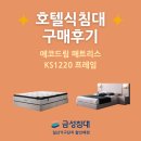 1220 | 호텔식침대 금성침대 KS1220 에코드림 찐구매 후기