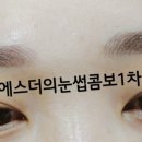 에스더의눈썹